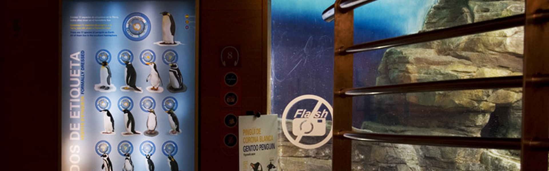 Vestidos-de-etiqueta1